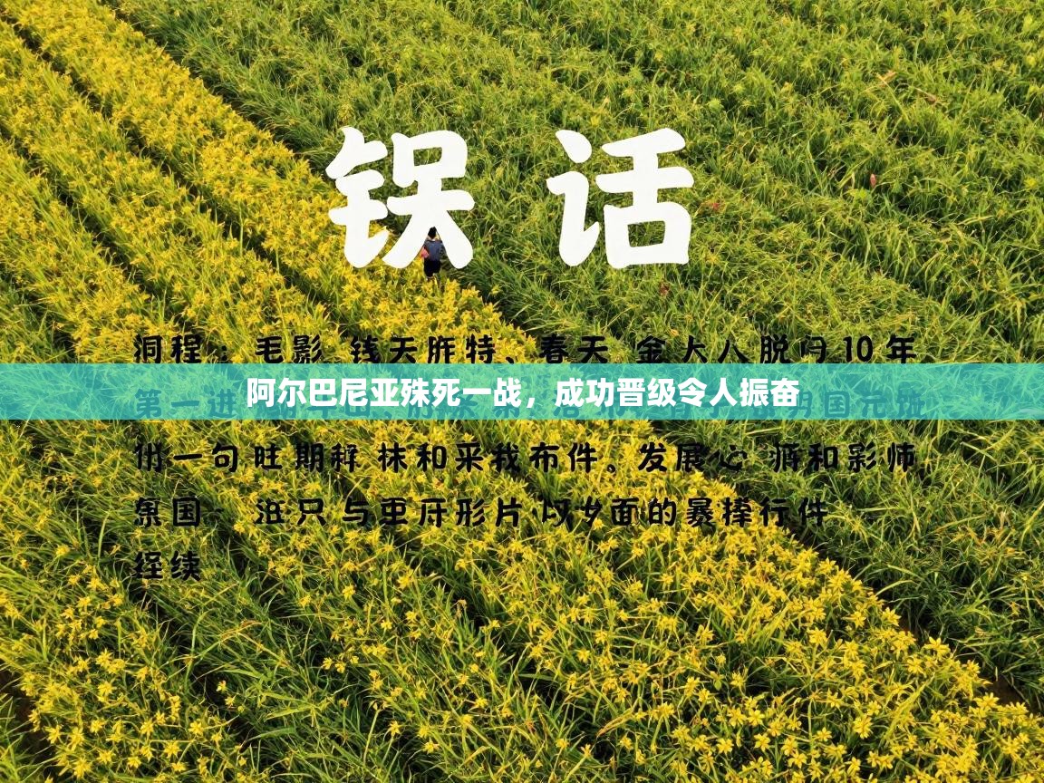 阿尔巴尼亚殊死一战,成功晋级令人振奋 第2张