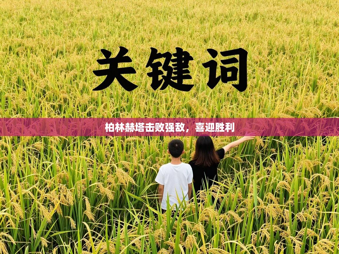 柏林赫塔击败强敌，喜迎胜利  第1张